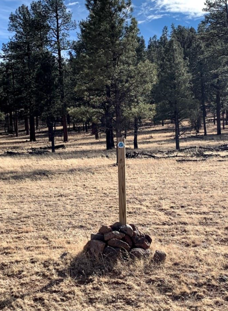Continental divide trail wooden marker in front of forest