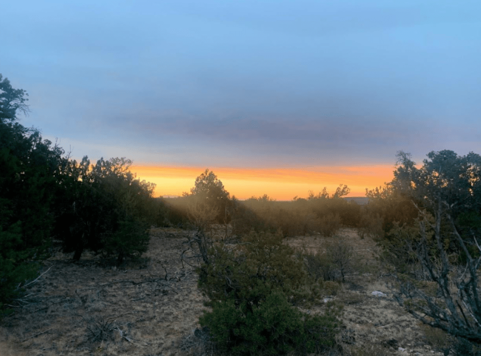 Yellow sunrise over the desert bush plains