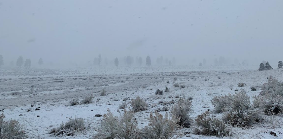 Snow covered lanscape with mist in the background