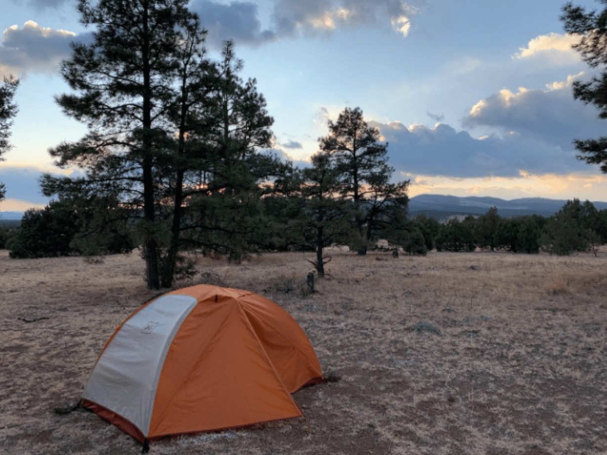 Campsite with tent showing large trees and mountains in background
