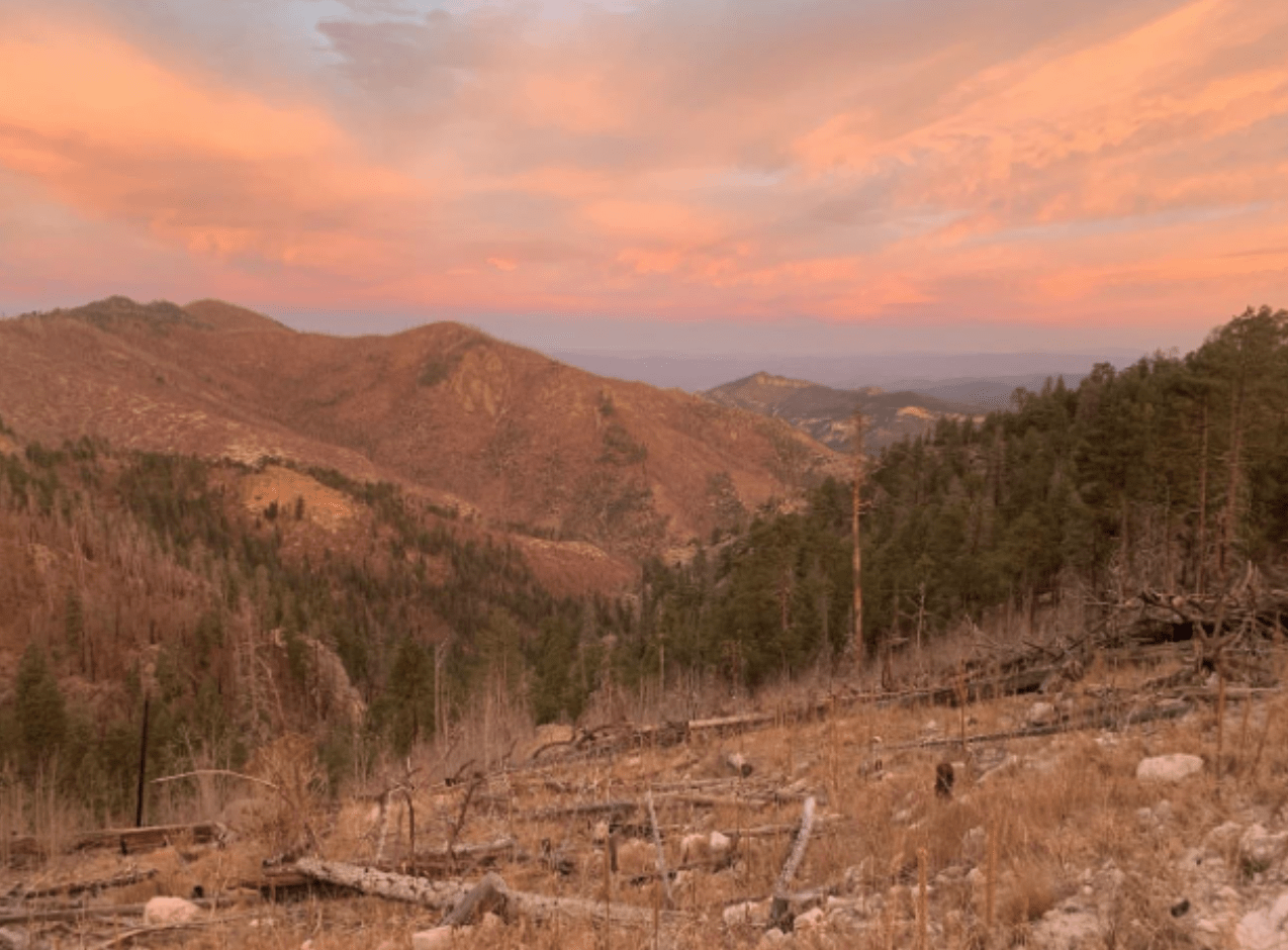 Mountain Landscape at Sunrise showing Colibri Mexican Gray Wolf Pack Territory