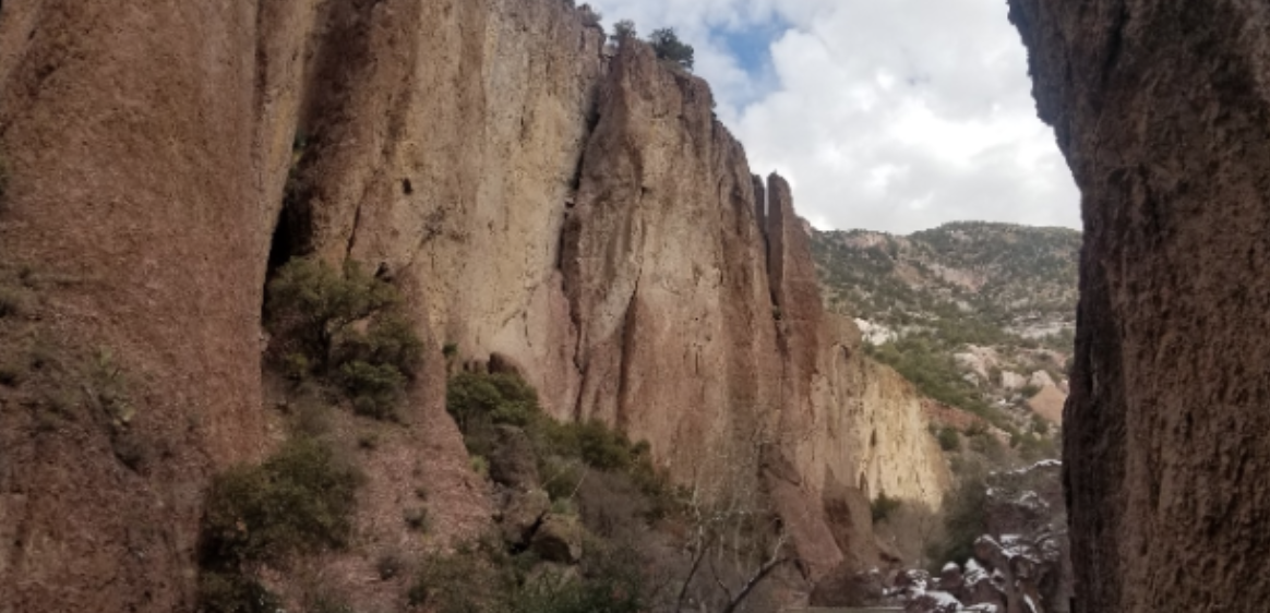 Canyon Rock Walls in New Mexico with Trees