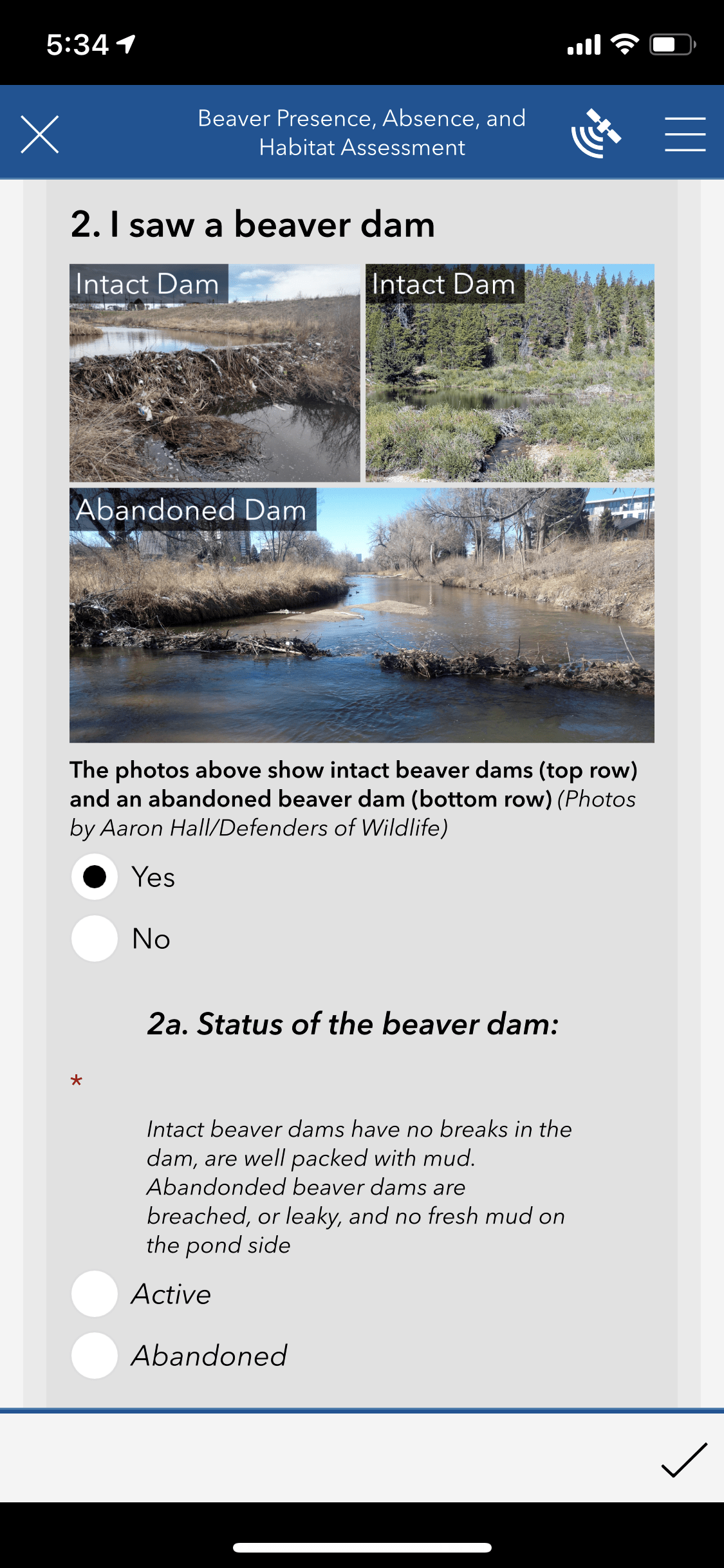 iBeaver survey screenshot