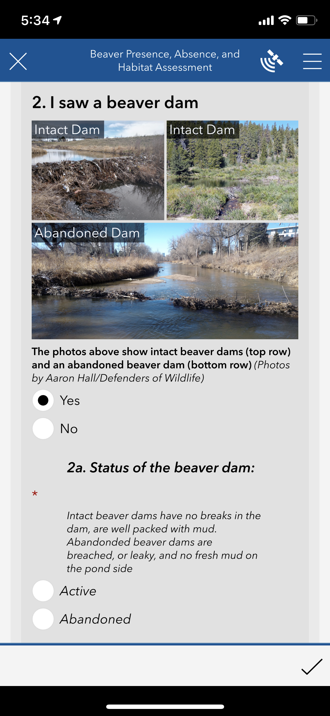 iBeaver survey screenshot