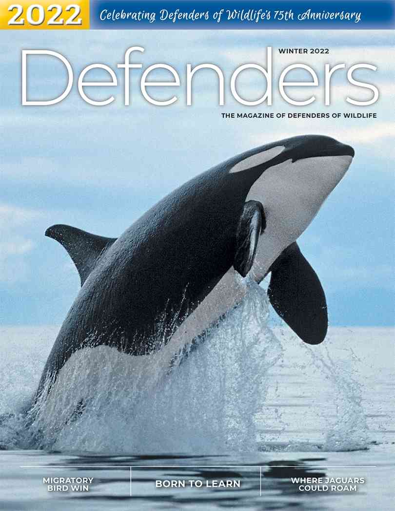 Winter 2022 Defenders Magazine