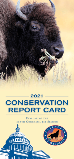 2021 Defenders Conservation Report Card