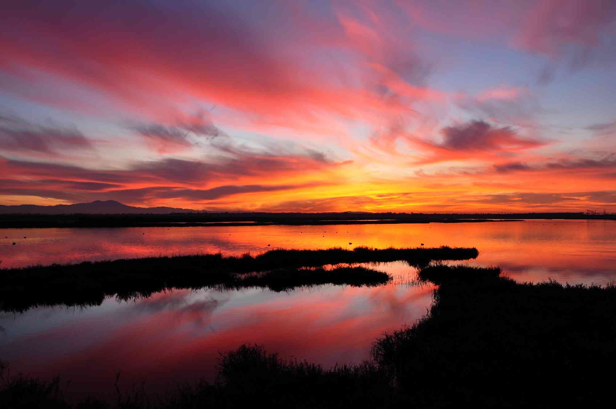 Wetland Sunset - Bolsa Chica Ecological Preserve - California