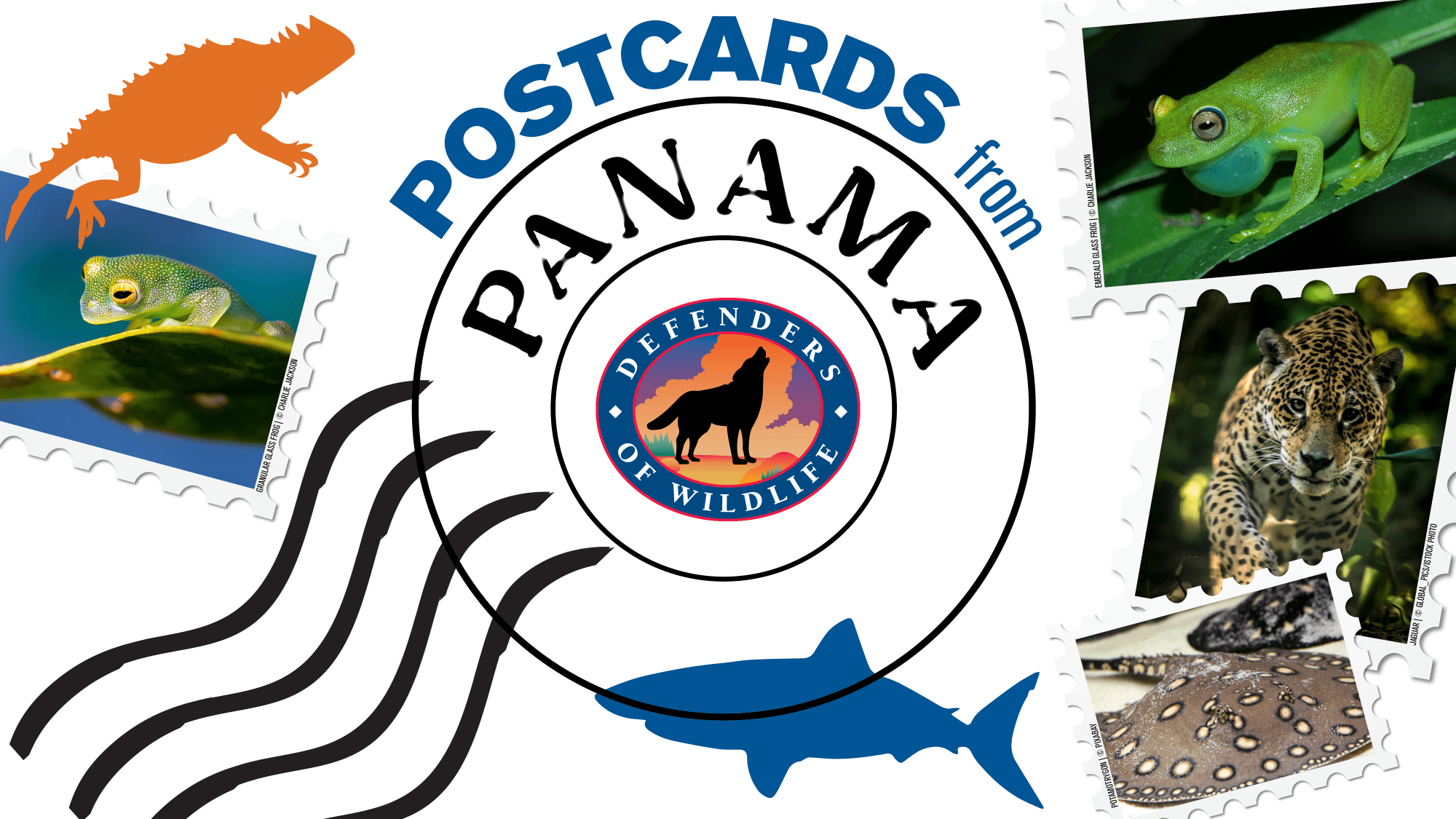 Postcards from Panama