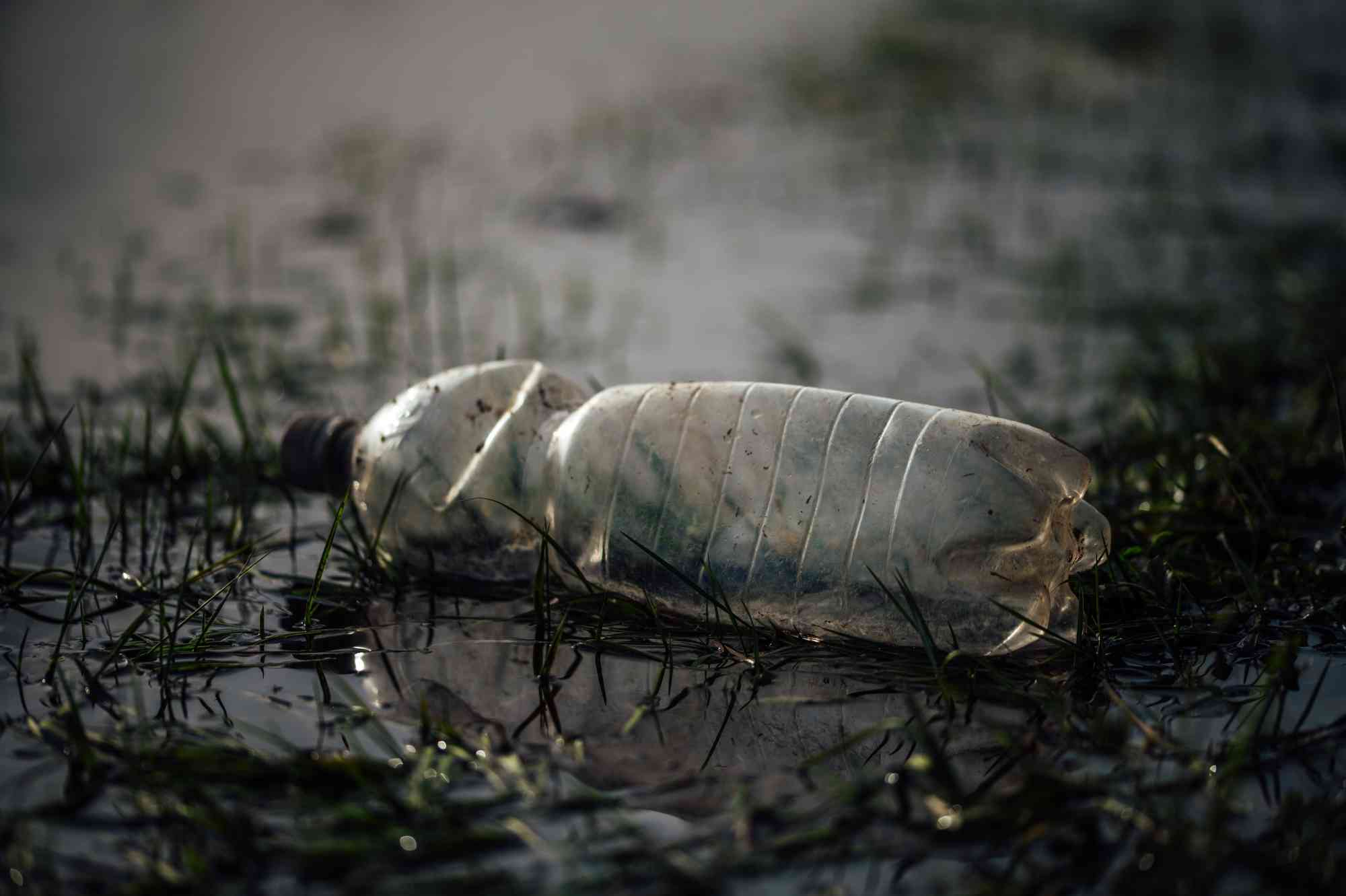 Plastic Water Bottle in River