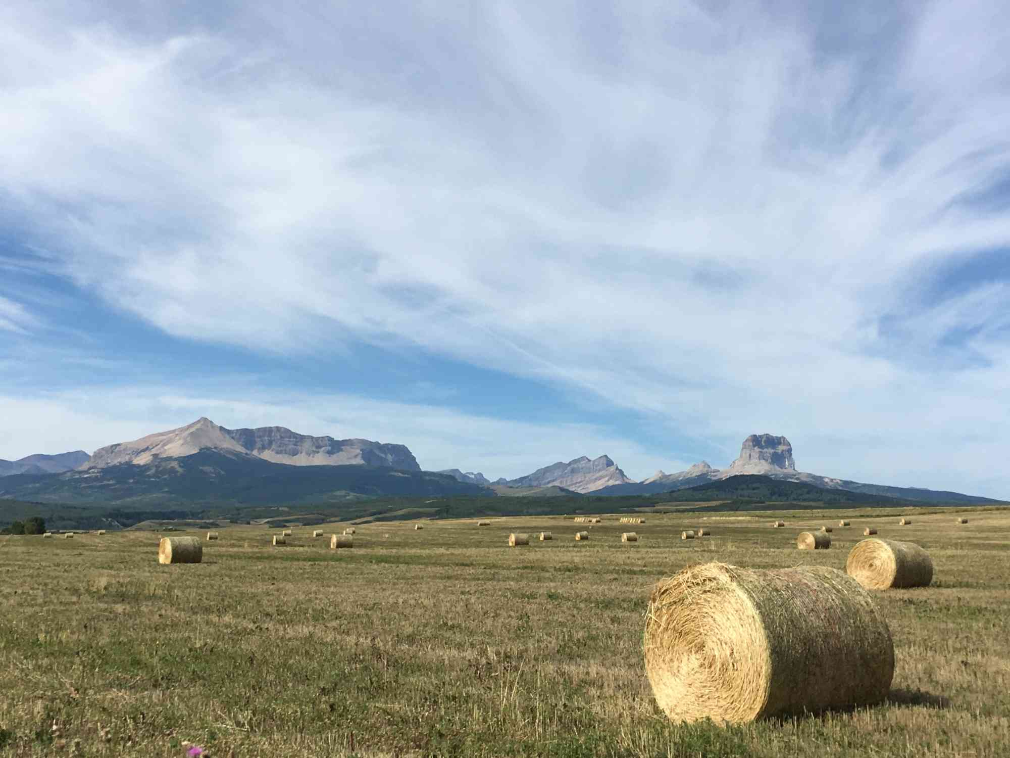 DITL - Electric Fencing - STILL - hay bails in foreground with mountains and sky in background