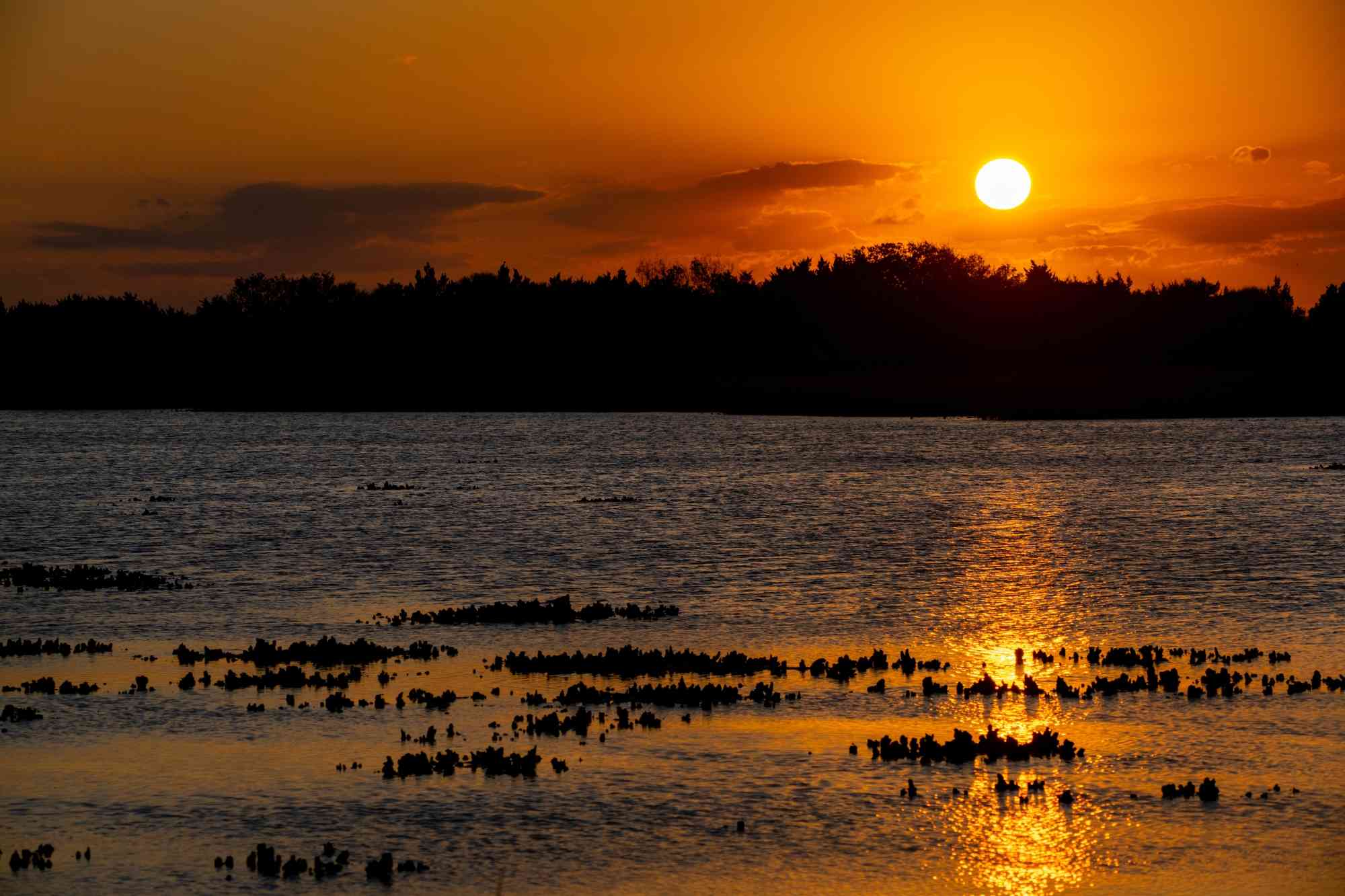 Florida Sunset - Florida