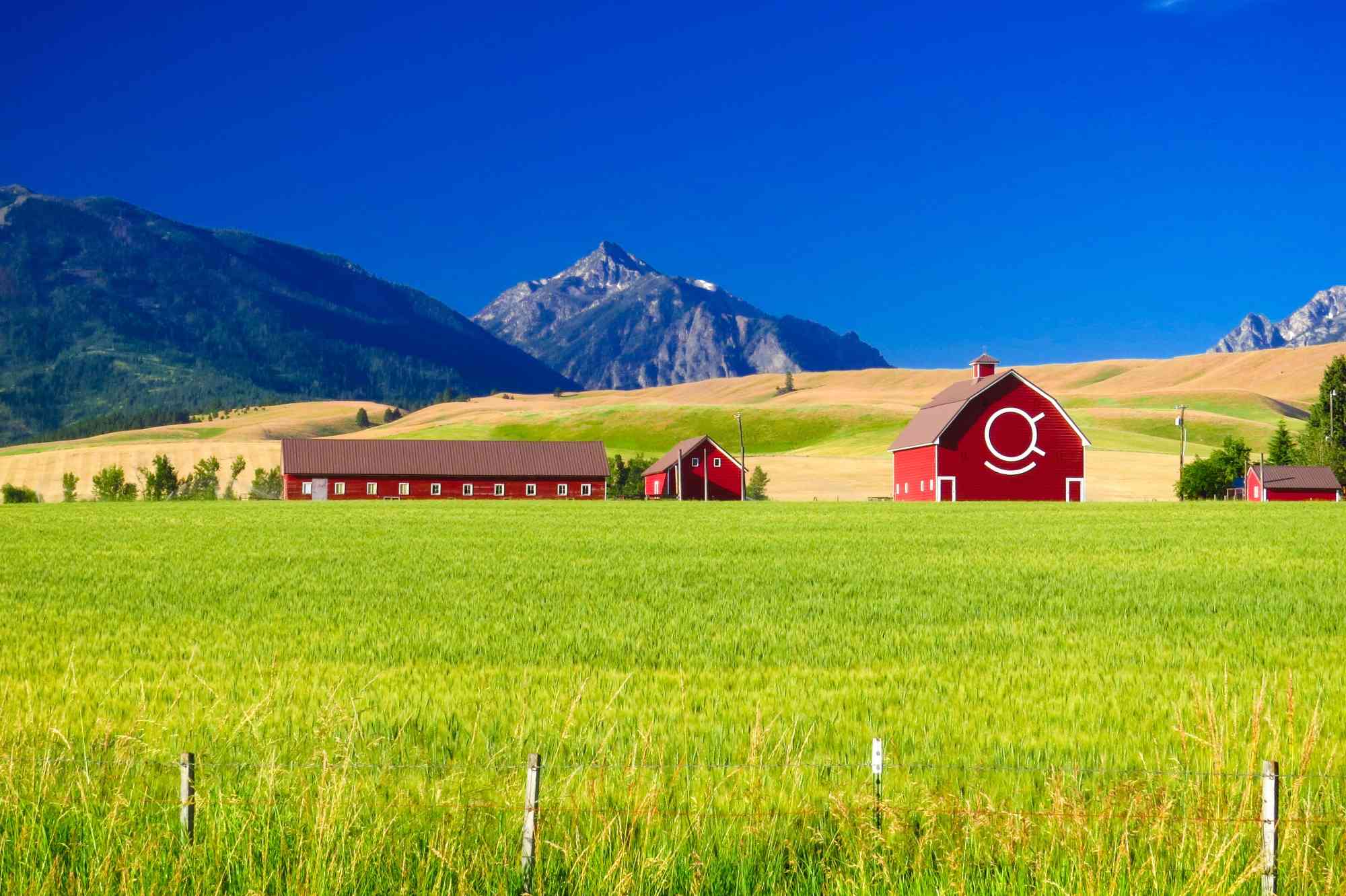 Red Barns and Mountains - Wallowa Whitman National Forest - Oregon