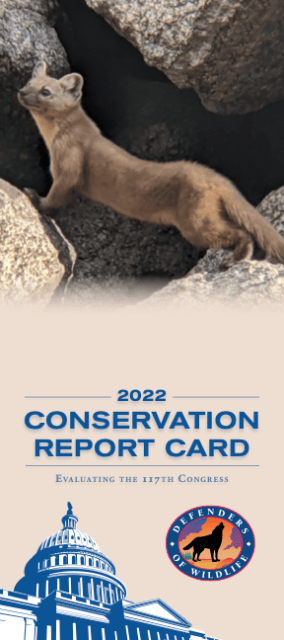 Congressional Conservation Report Card 2022