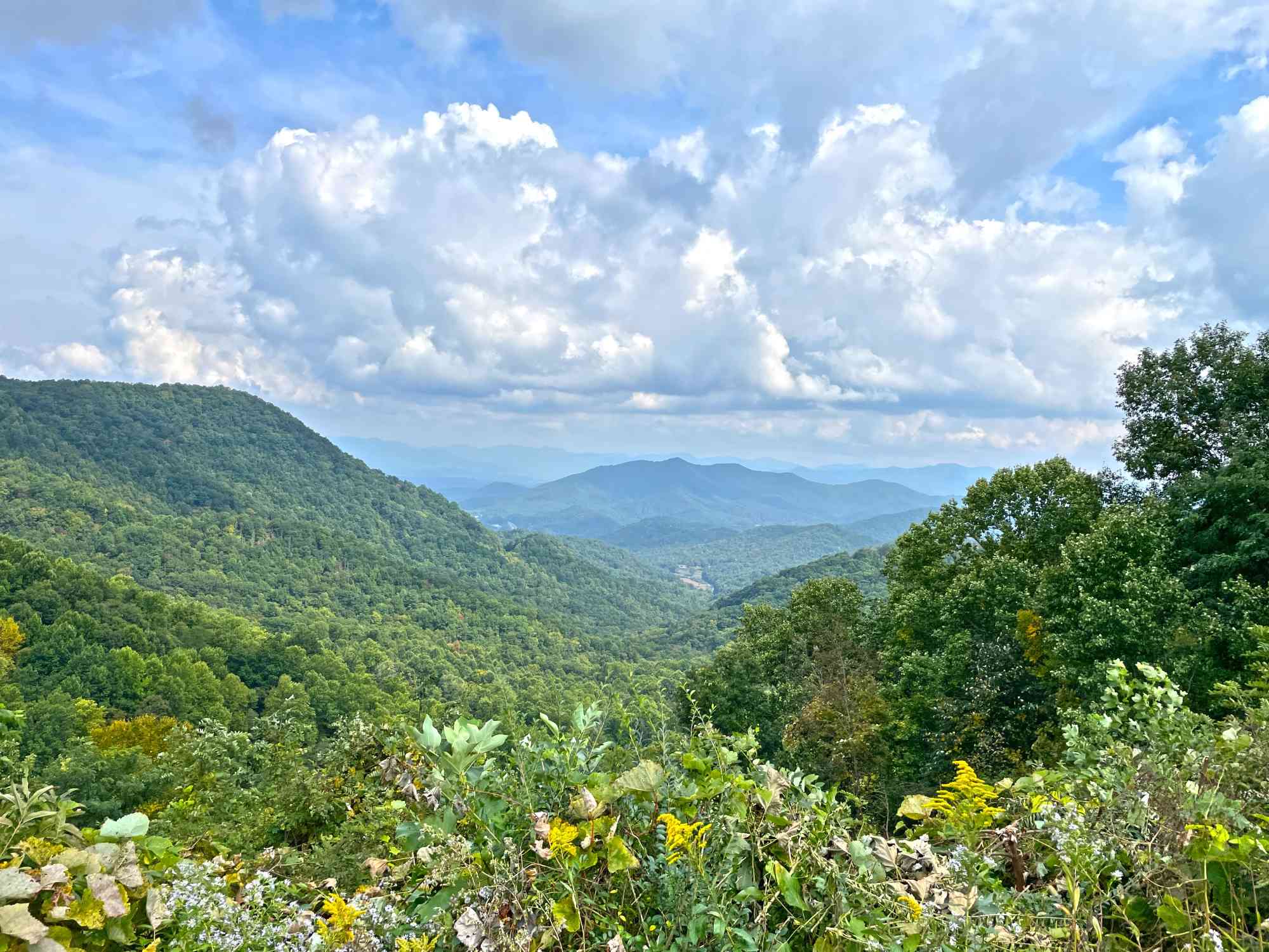 A Mountain Landscape, featuring Nantahala National Forest in North Carolina 