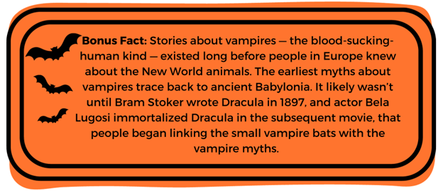 Bat Blog Fact 1