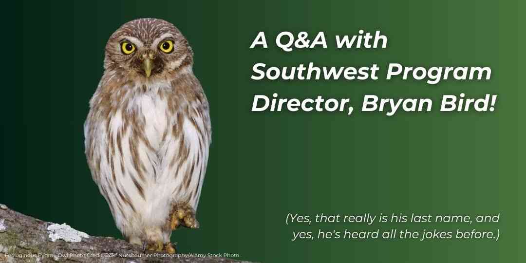 A Q&A with Southwest Program Director, Bryan Bird!