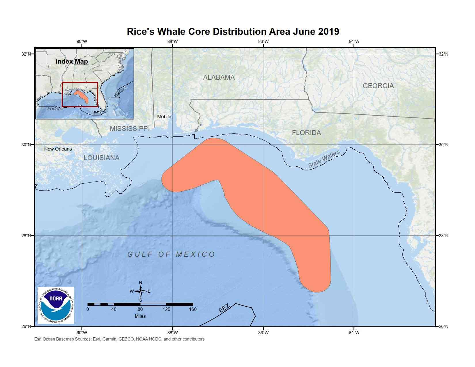 13.11.2023_Rice's Whale Core Distribution Area Map June 2019_NOAA Fisheries
