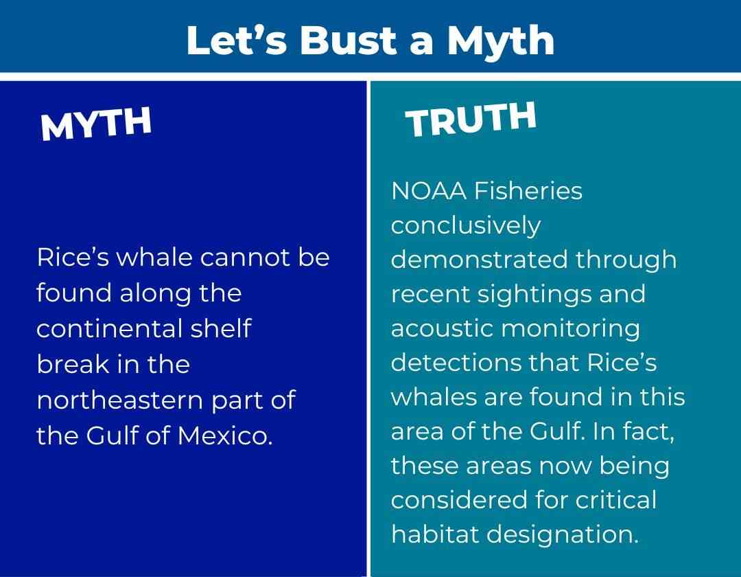 Rice's Whale Myth-Busted Graphic