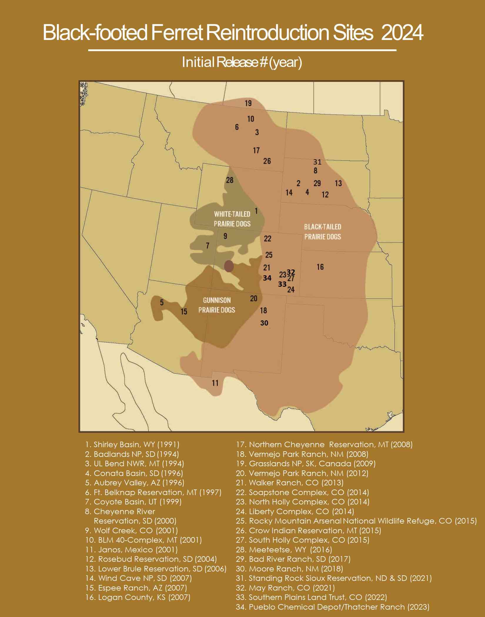 Black-footed Ferret Reintroduction Site 2024 graphic- USFWS