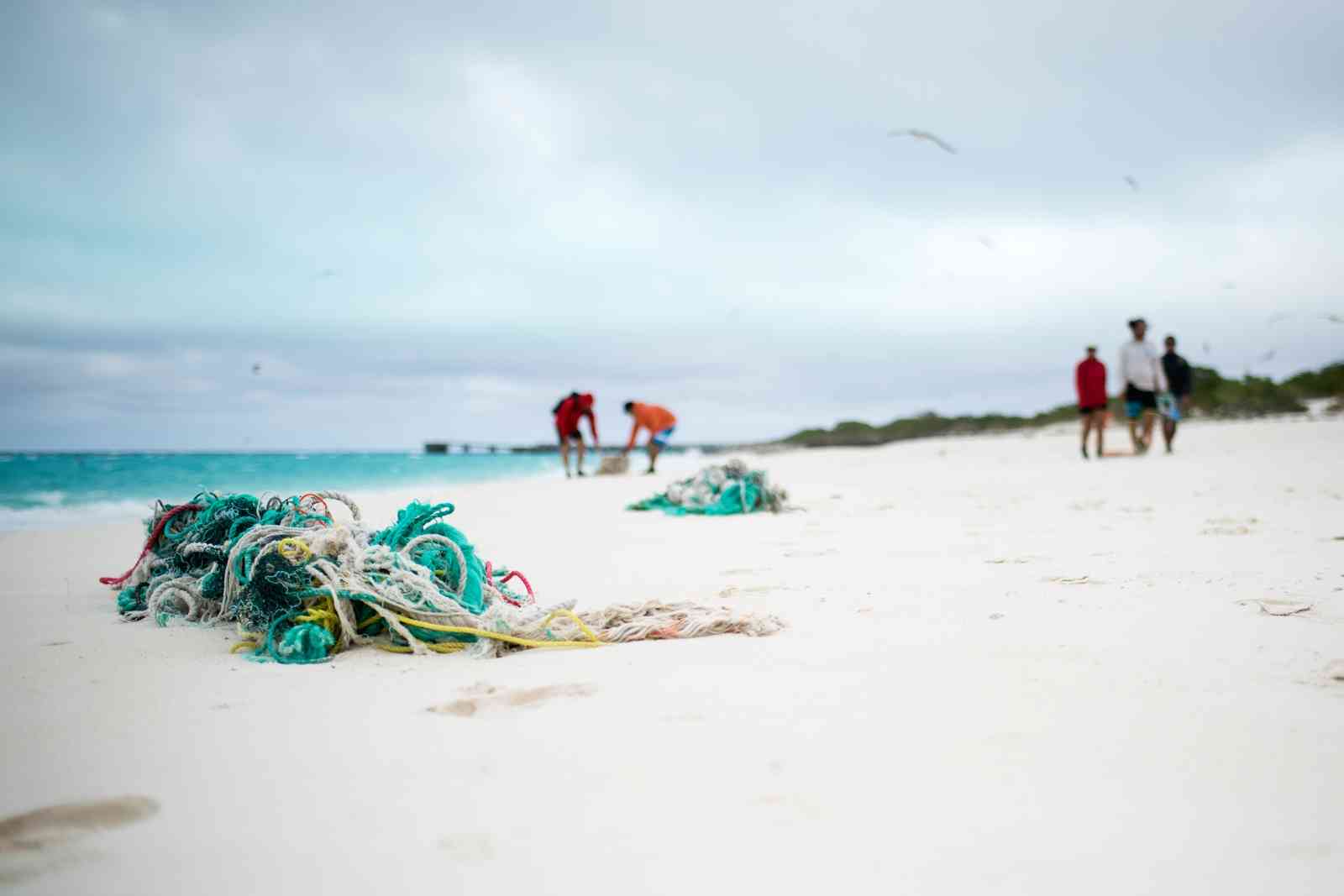 Tangled Nets on a beach in Hawaii - NOAA Coral Reef Ecosystem Program