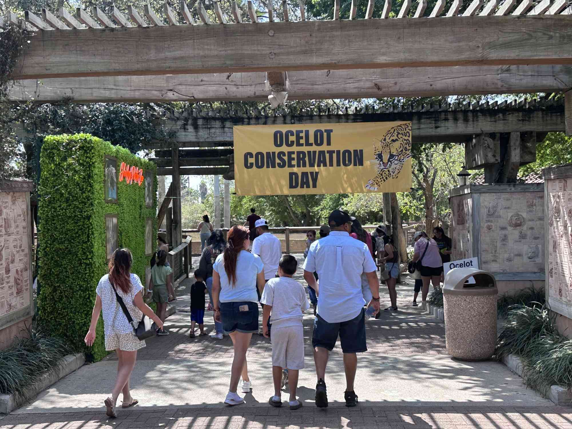  Families at Zoo - Ocelot Festival 2023 - Texas - DOW.jpg