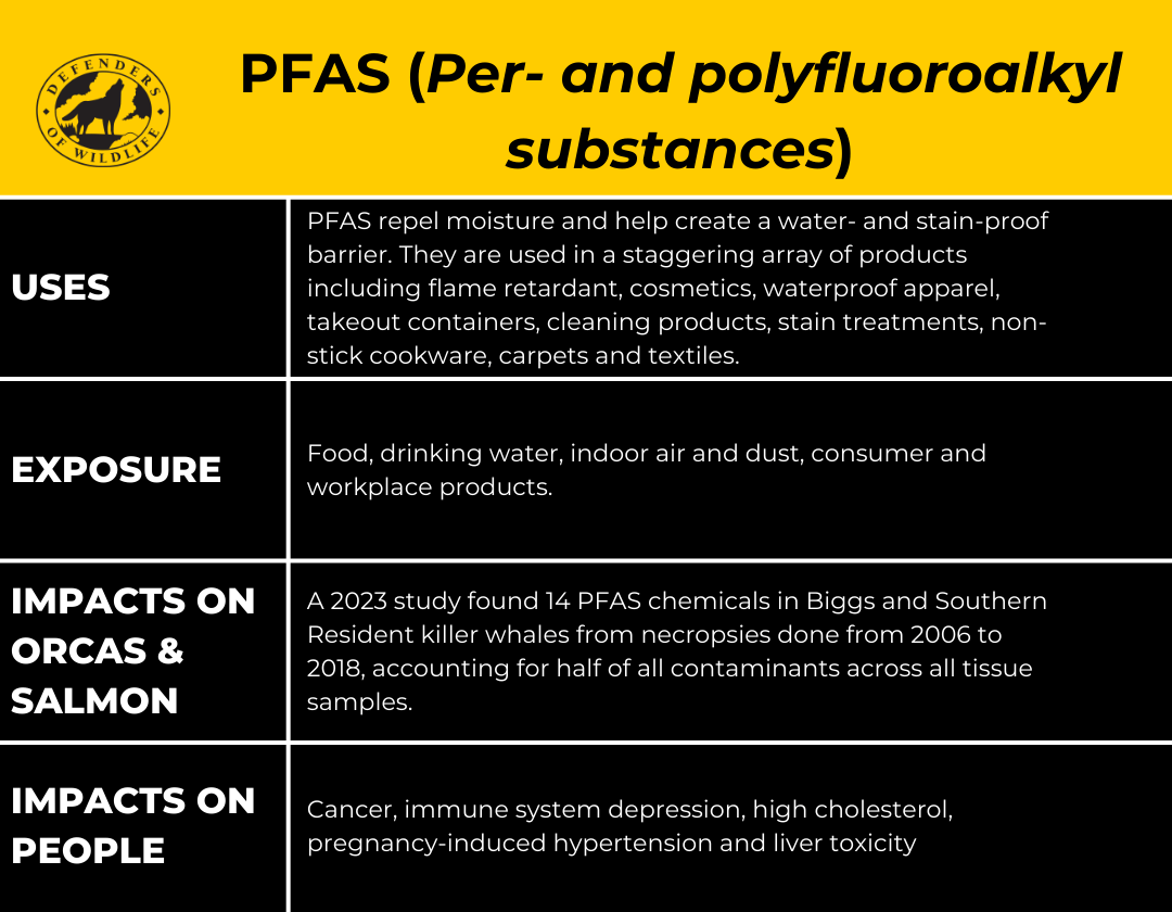 Per- and polyfluoroalkyl substances (PFAS)_DOW