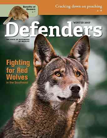 Defenders Magazine Winter 2017