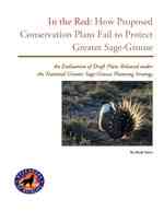 In the Red: How Proposed Conservation Plans Fail to Protect Greater Sage-Grouse