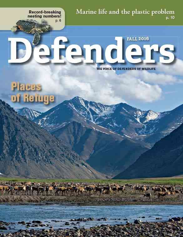 Defenders Magazine Fall 2016