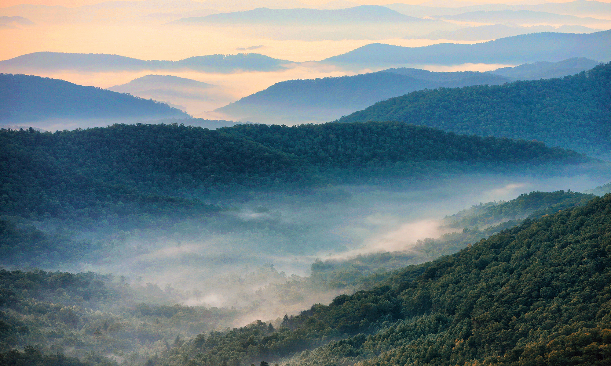 Blue Ridge Parkway View