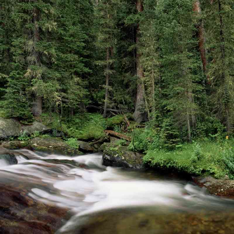Onahu Creek Trail - Rocky Mountain National Park