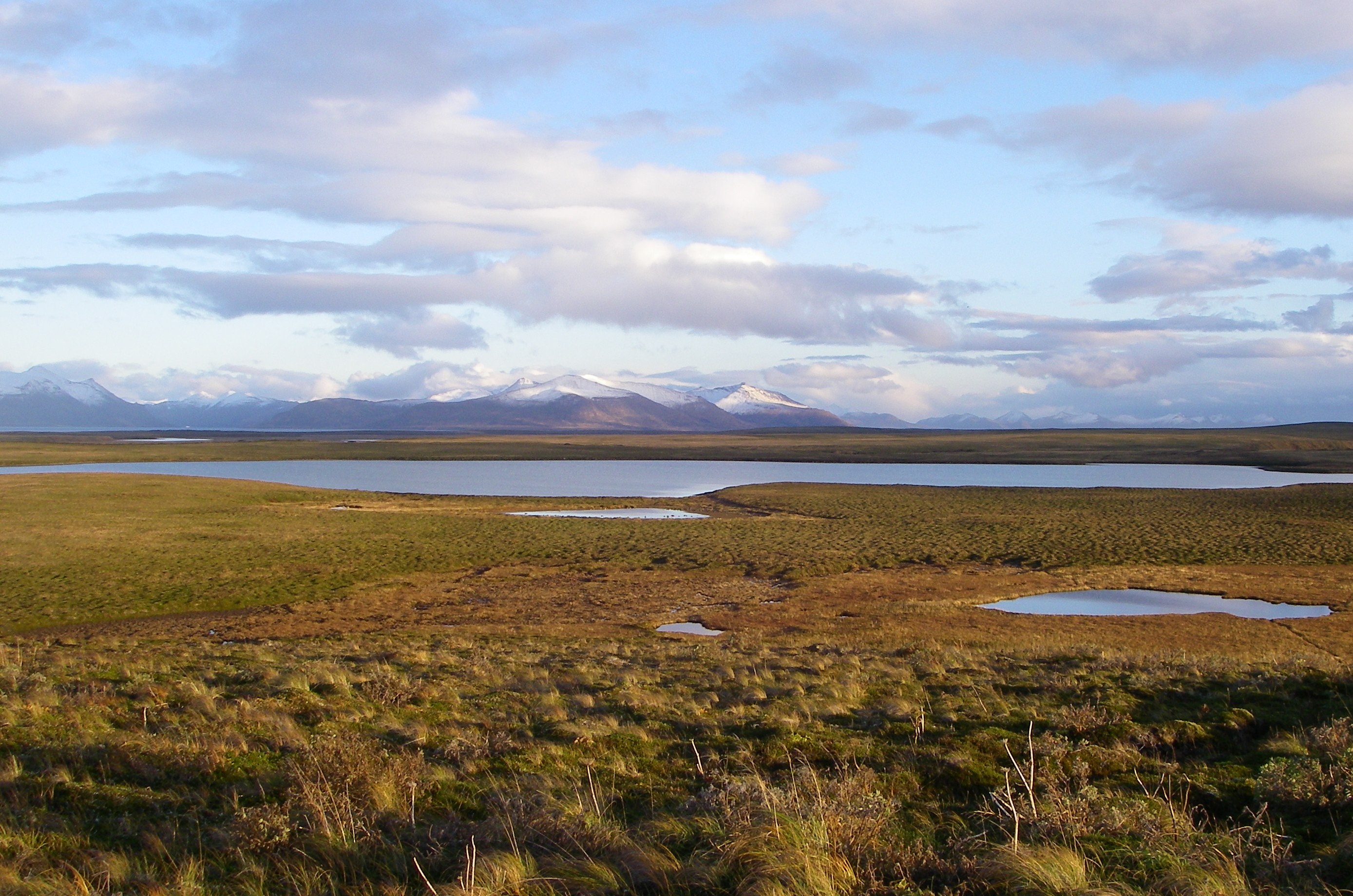 Fall Tundra Izembek NWR