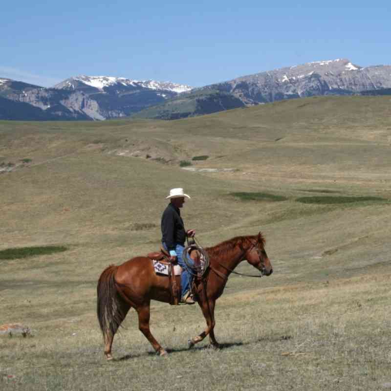 Range rider Montana 