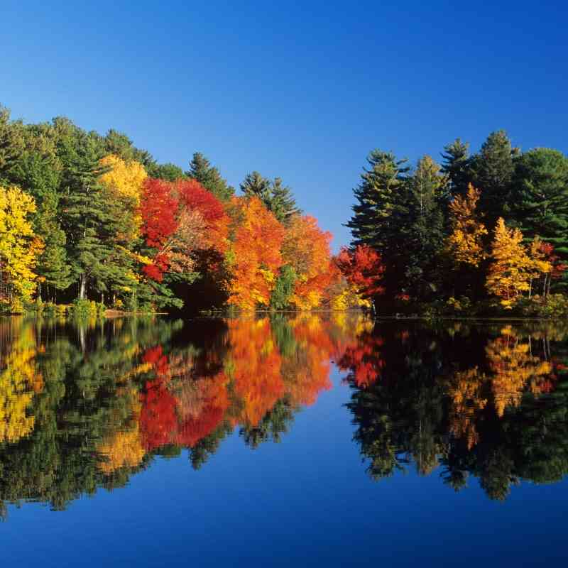 Rhode Island fall colors