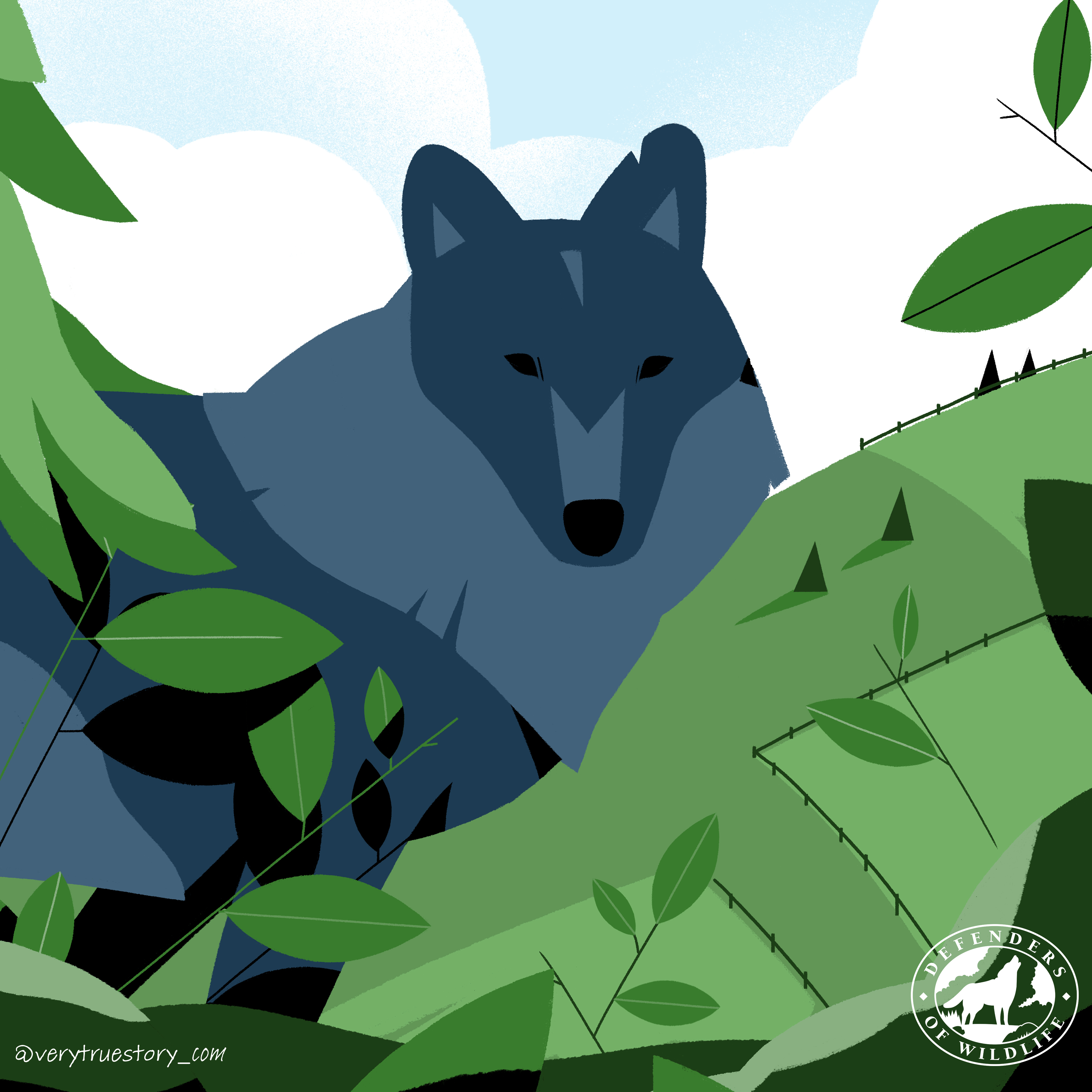 vote for wildlife gray wolf