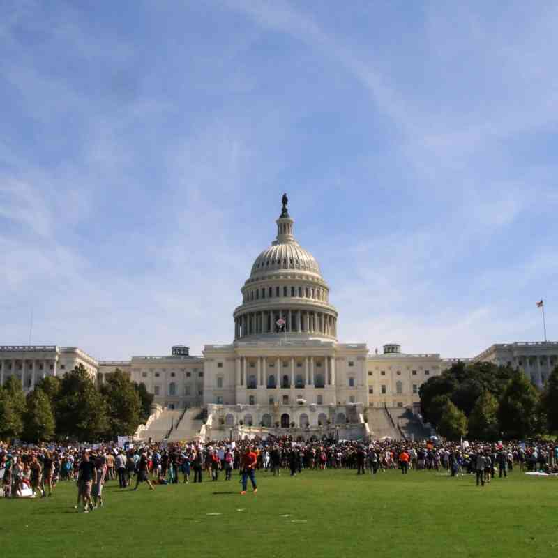Climate Strike DC Wide Shot Capitol Lawn 