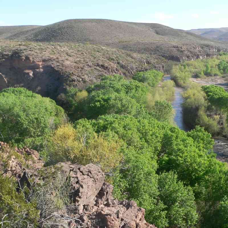 Confluence of Bonita Creek and Gila River in Gila Box Riparian National Conservation Area, in Graham County, Arizona; seen from the vicinity of the Kearny campsite monument. The Gila flows toward the camera, center and left of center; Bonita Creek flows left to right, through the canyon whose far wall is visible behind trees at the right edge of the photo.