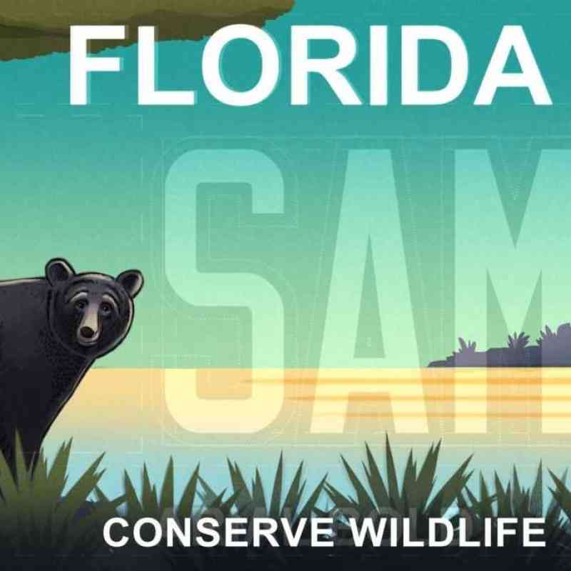 Florida conserve Wildlife License Plate