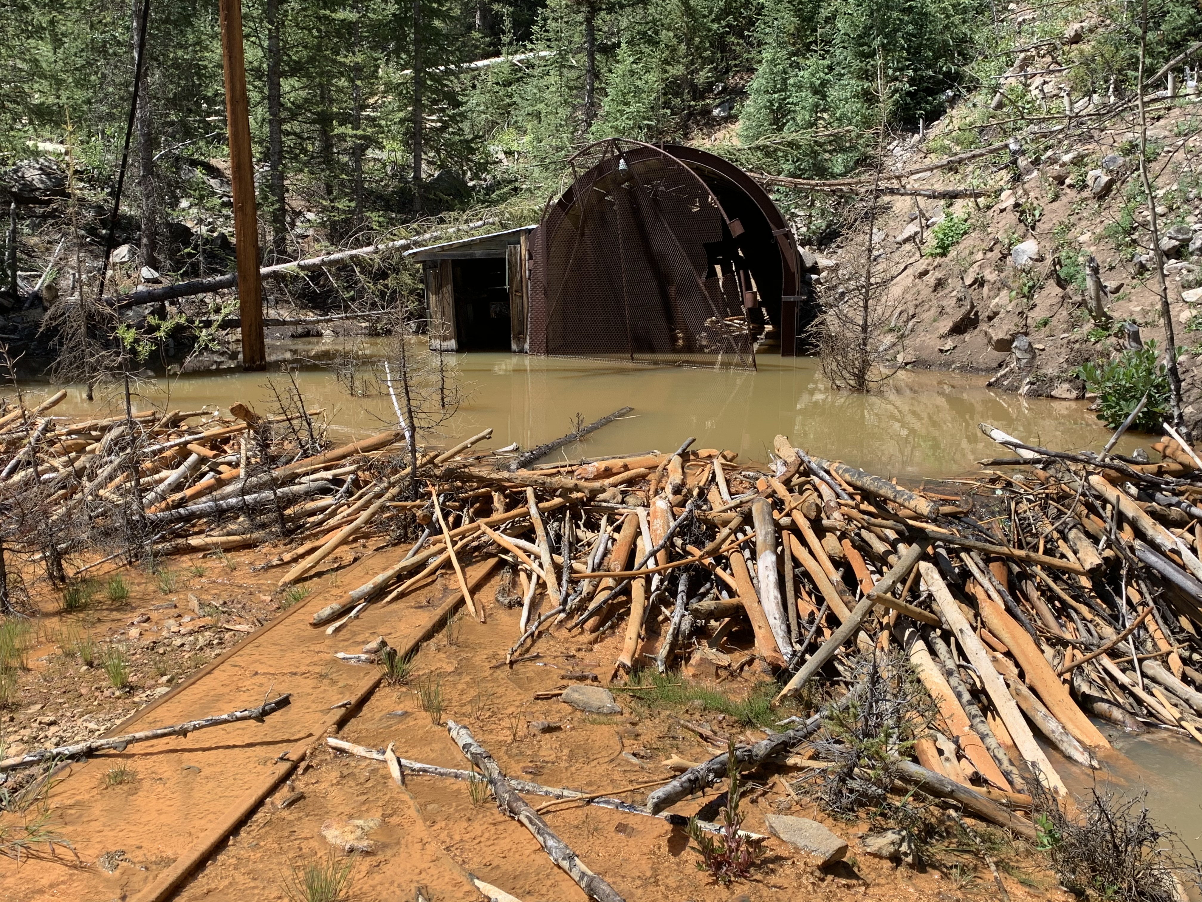 Beaver dam on mine draiange from an abandonded mine near Silverton, CO.