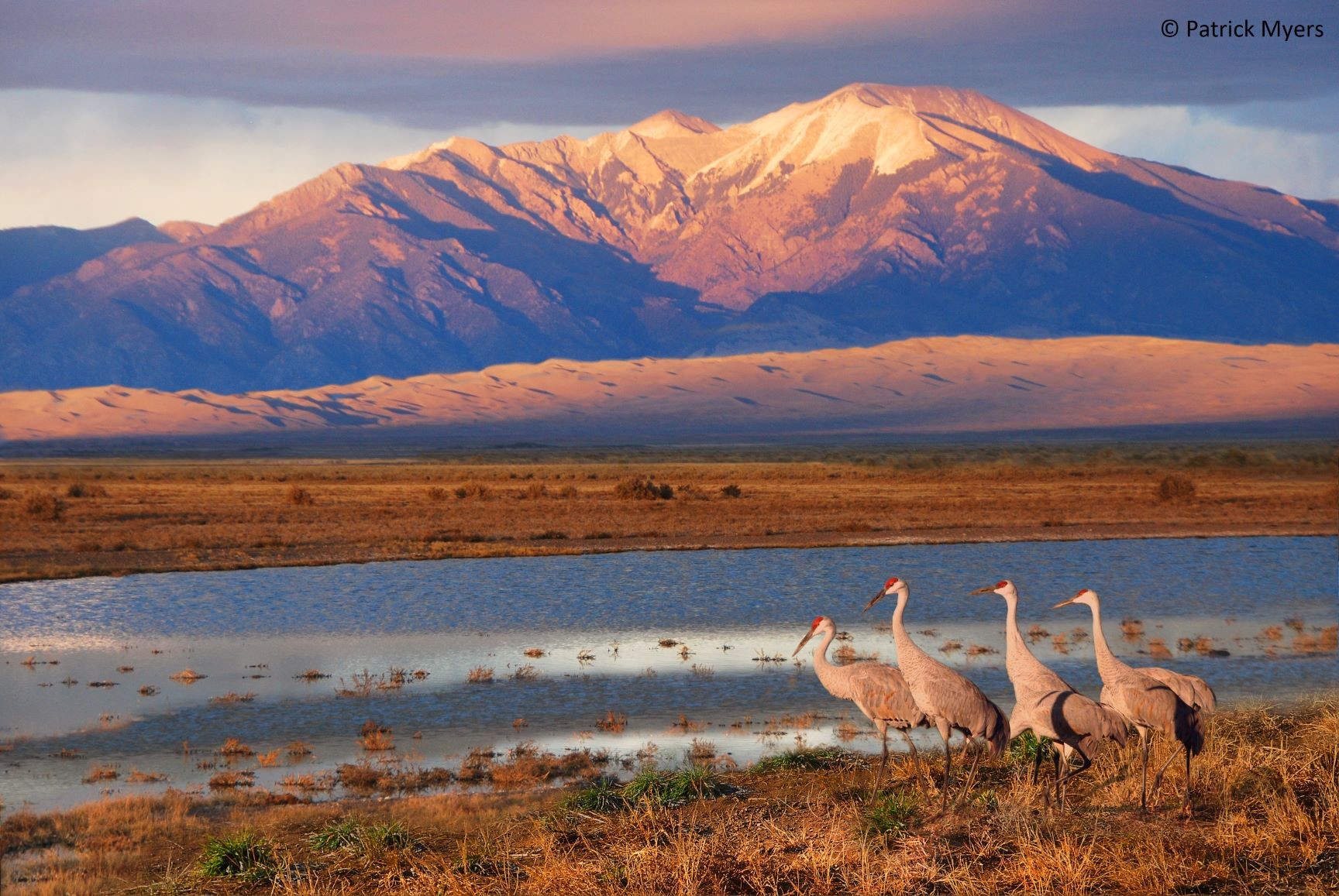 Advocating for Biodiversity