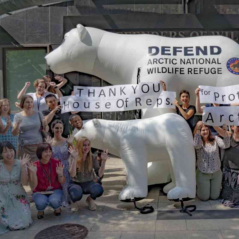 Thank you house of reps in front od DOW with Polar Bears