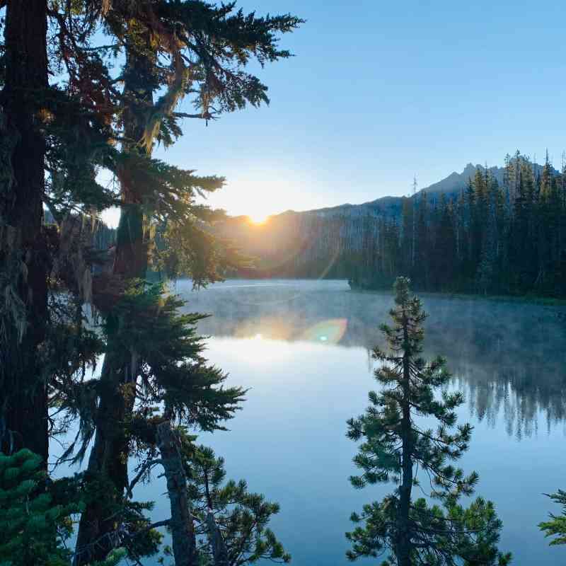 Duffy Lake view through trees - Oregon