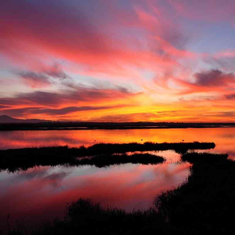 Wetland Sunset - Bolsa Chica Ecological Preserve - California