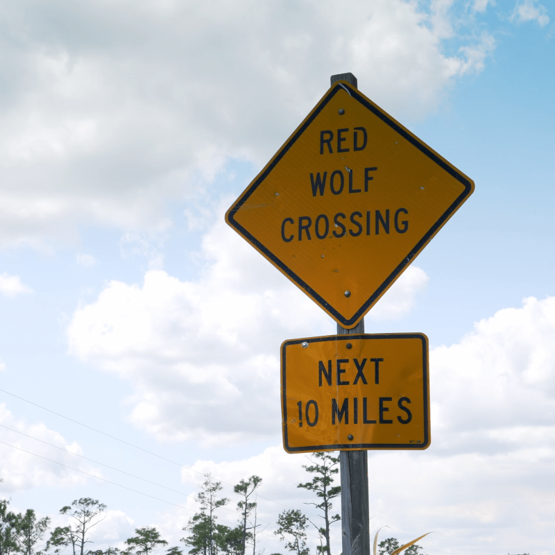 Red Wolves - Red Wolf crossing sign
