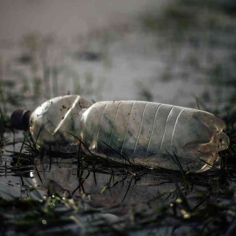 Plastic Water Bottle in River
