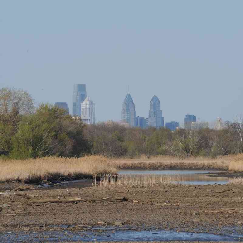 Heinz National Wildlife Refuge with Philadelphia in the background