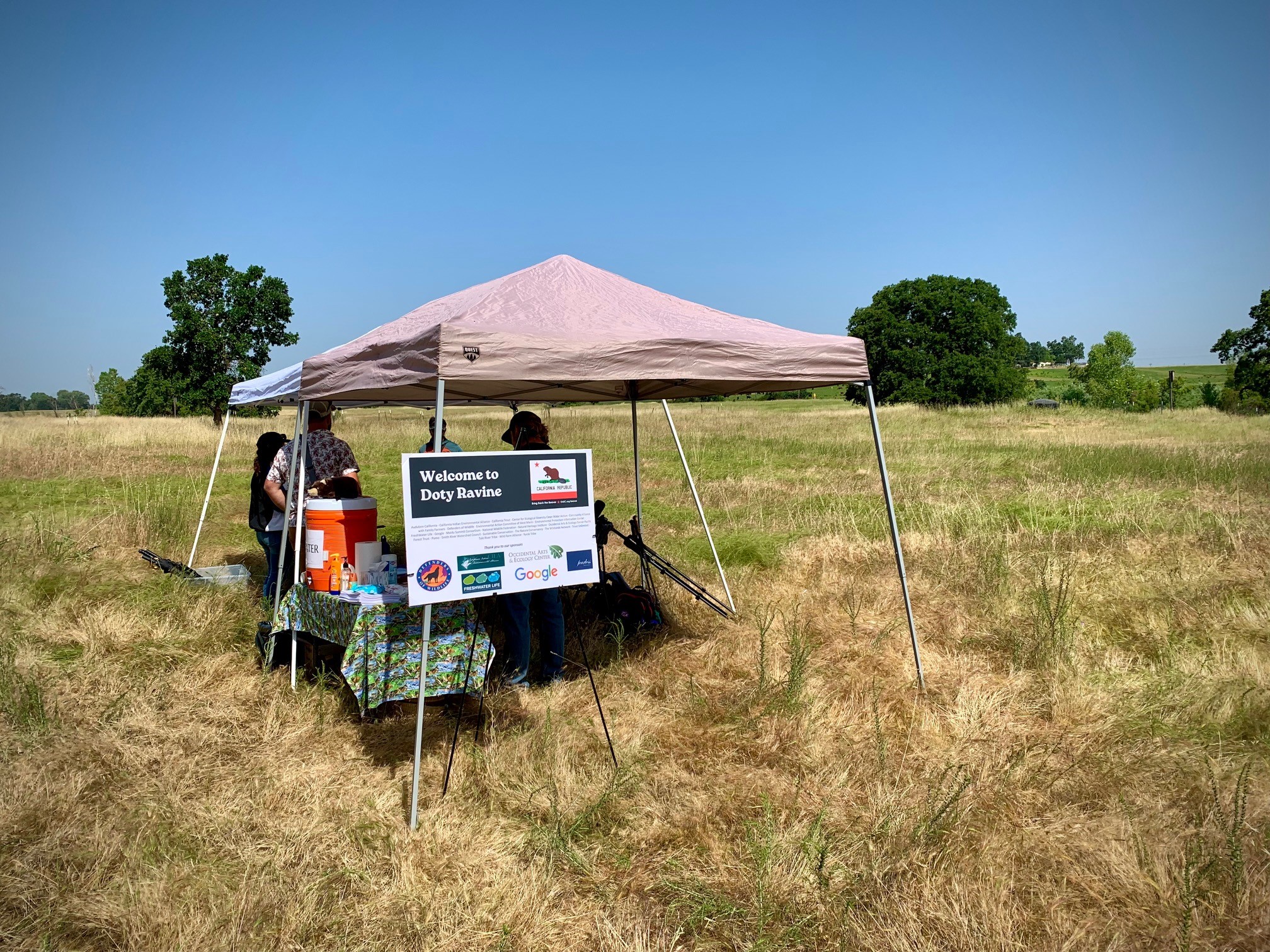 Welcome Tent to Doty Ravine-Pam Flick
