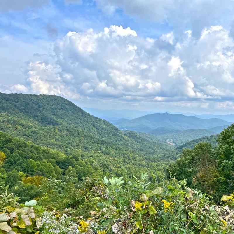 A Mountain Landscape, featuring Nantahala National Forest in North Carolina 