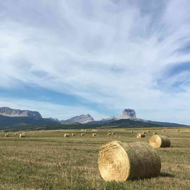 Blackfeet Nation Birch Creek - hay bails in foreground