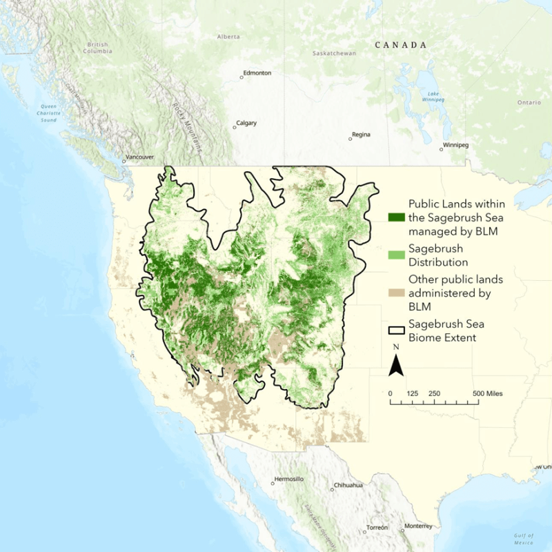 US Sagebrush Sea Map - Uncropped_DOW